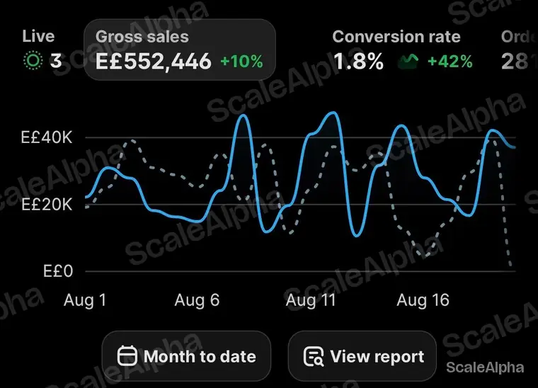 Shopify dashboard, August month to date: EGP 552,446 gross sales, up 10%, conversion rate 1.8%, up 42%